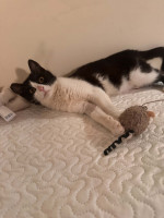 /album/268/whatsapp-image-2026-04-28-at-18-59-52-1-jpeg/